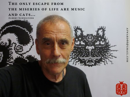 AFWWHOSAIDTHATSCHWEITZER