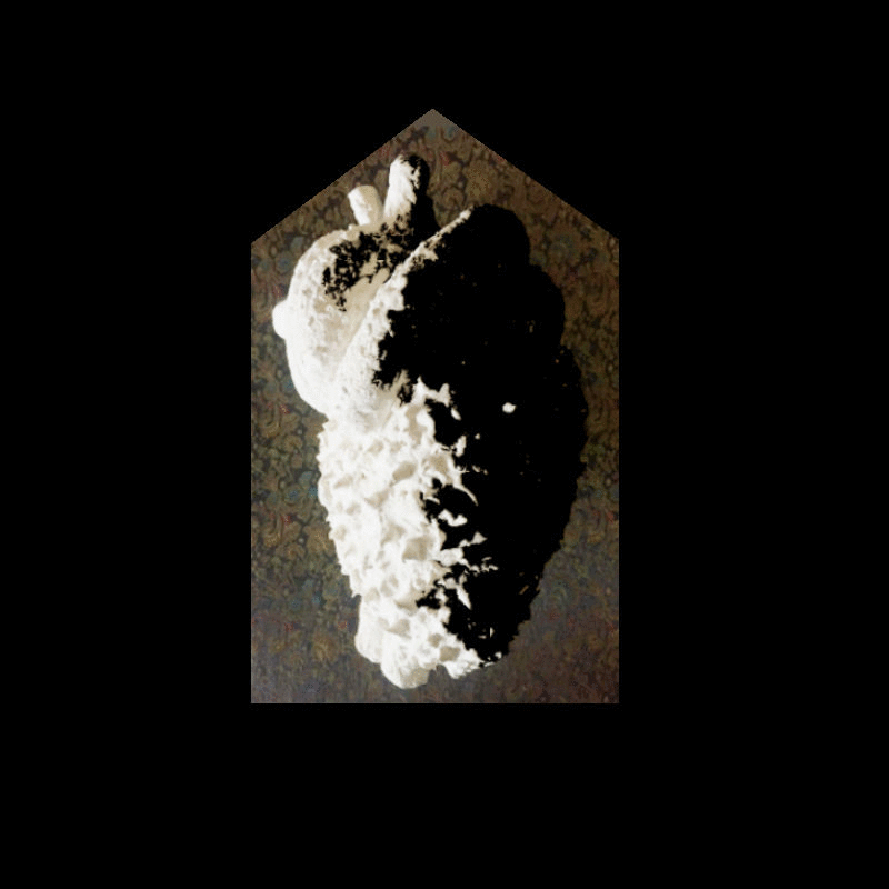 Webp.net-gifmaker (12)