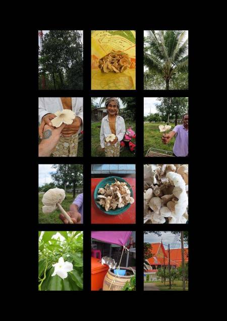 12238313_1198907750125076_4484031367342141353_o