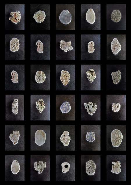 naiyong soft 2_Page_3