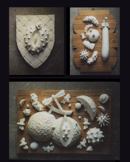 4234708563_a549a958f8_o