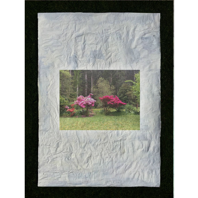 azalea3STUDIOnoojee2