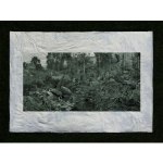 mccubbinSTUDIOnoojee2-copy