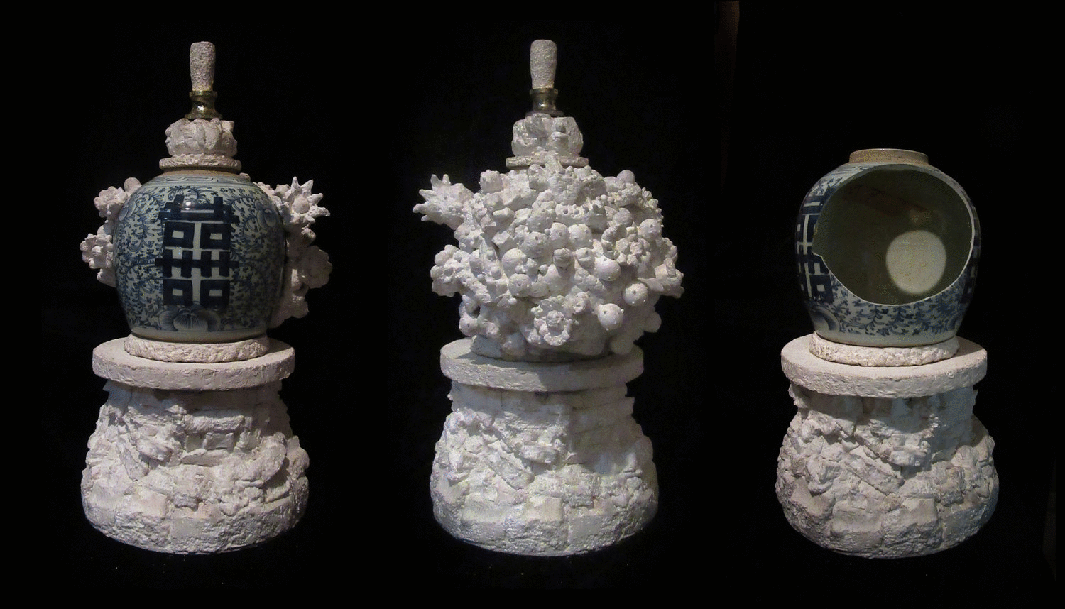 Webp.net-gifmaker (51)