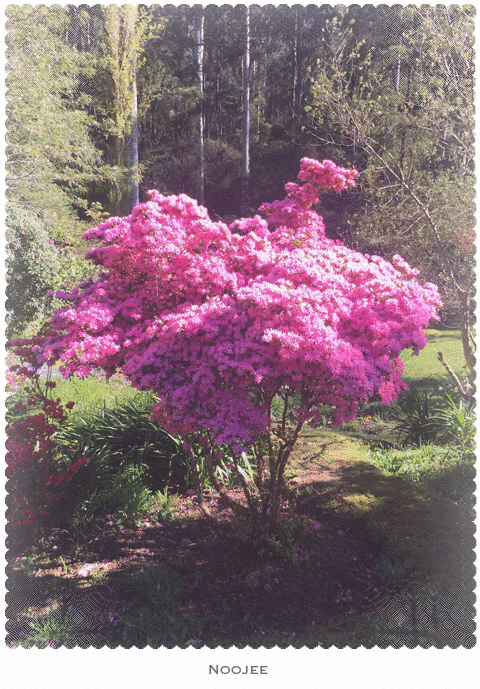 Webp.net-gifmaker (58)