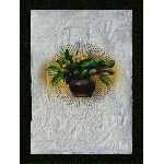 Webp.net-gifmaker (68)