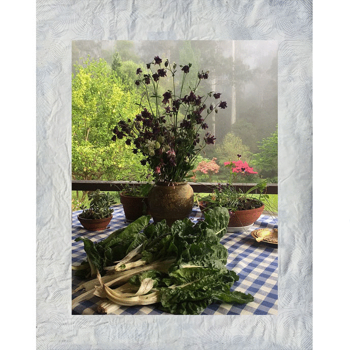 Webp.net-gifmaker (72)