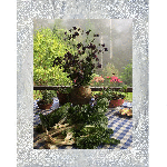 Webp.net-gifmaker (72)