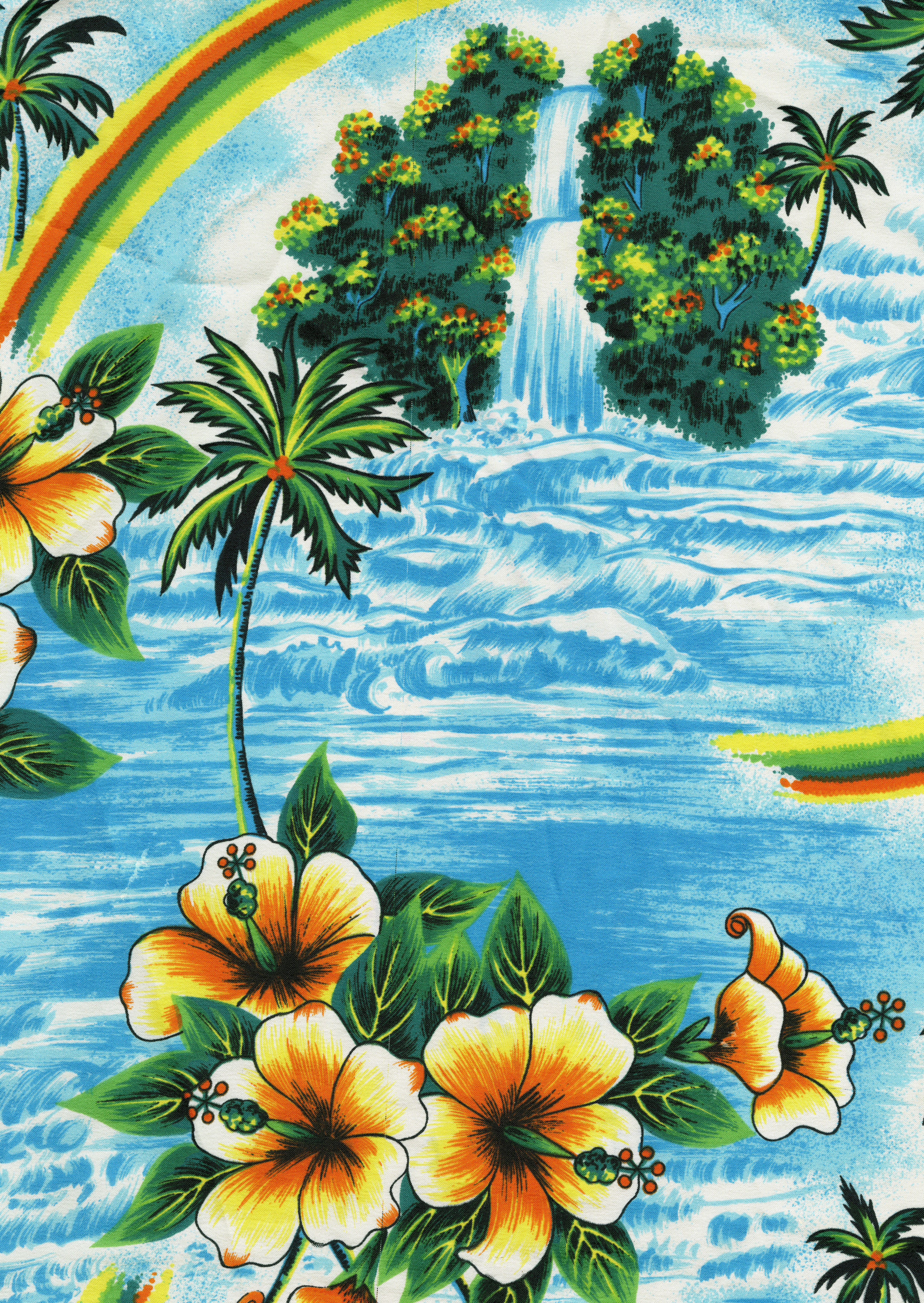 nylonFICUS-EDITION-COMP