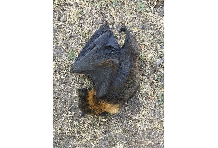 Webp.net-gifmaker (20) copy