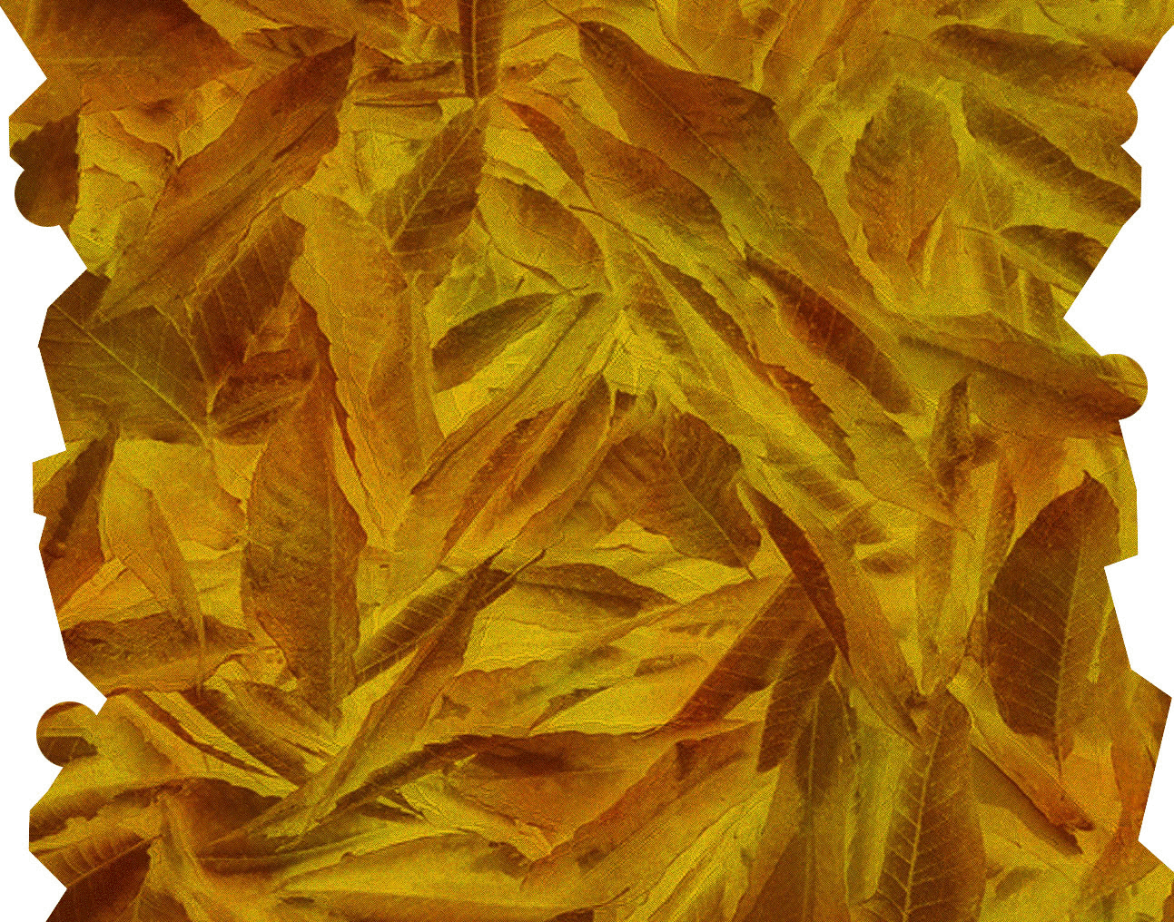 pedestalGIFMaker.org_w7Kwyz