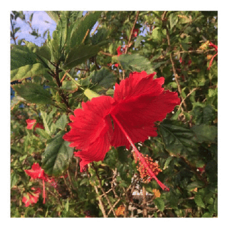 Webp.net-gifmaker copy