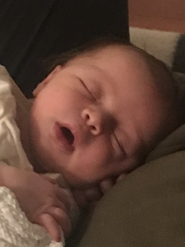 51616916963_18473cf936_c