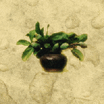 ezgif.com-gif-maker-24