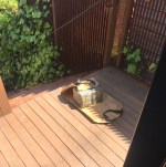 52468905167_c94628748e_c